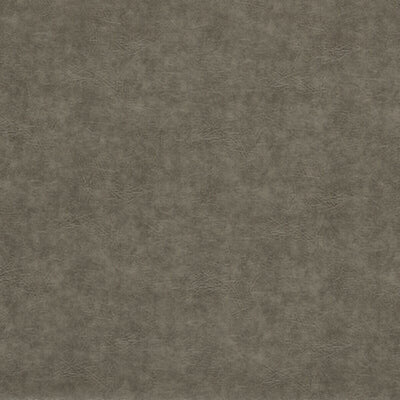 CLARKE & CLARKE FABRICS-F1598/14.CAC.0