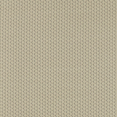 CLARKE & CLARKE FABRICS-F1618/03.CAC.0