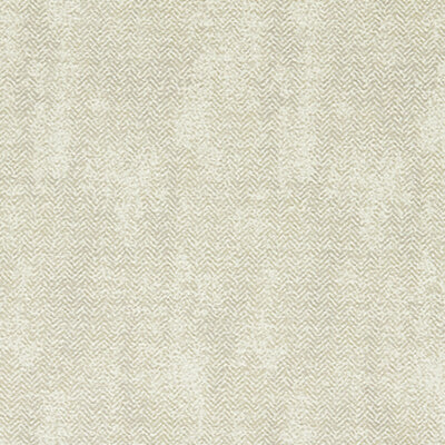 CLARKE & CLARKE FABRICS-F1629/04.CAC.0