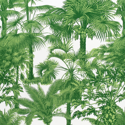 THIBAUT FABRICS-PALM BOTANICAL-F910103