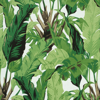 THIBAUT FABRICS-TRAVELERS PALM-F910127