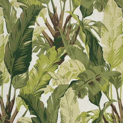 THIBAUT FABRICS-TRAVELERS PALM-F910131