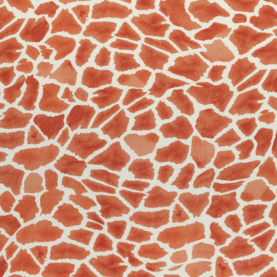 THIBAUT FABRICS-MAKENA-F910221