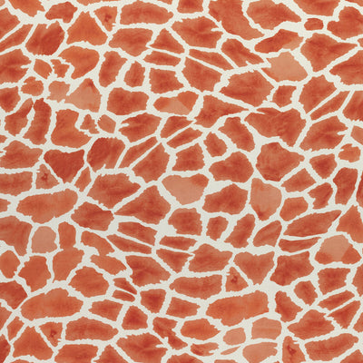 THIBAUT FABRICS-MAKENA-F910221