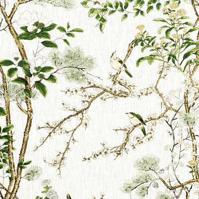 THIBAUT FABRICS-KATSURA-F913621