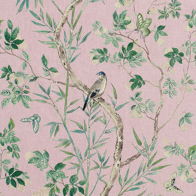 THIBAUT FABRICS-CLAIRE-F942011