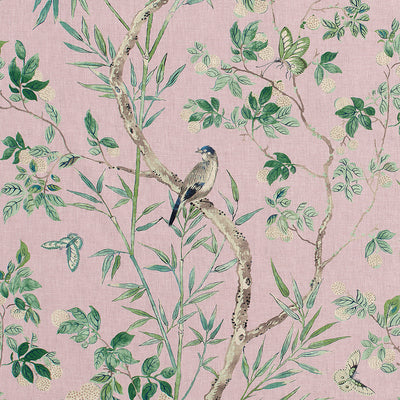 THIBAUT FABRICS-CLAIRE-F942011