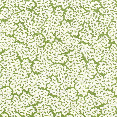 THIBAUT FABRICS-MALDIVES-F942041