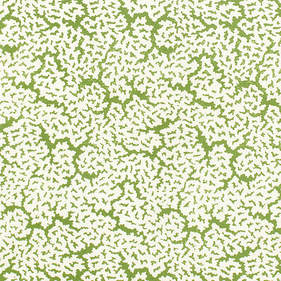 THIBAUT FABRICS-MALDIVES-F942041