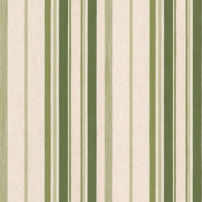 Stout Fabrics , Fandango Fandango, Green color, Multipurpose Wovens style type , pattern number  FAND-1