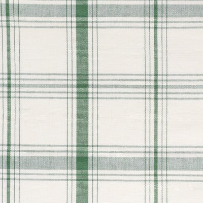 Stout Fabrics , Fiance Fiance, Green color, Multipurpose Wovens style type , pattern number  FIAN-2