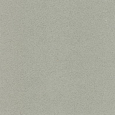 Stout Fabrics , Finnerty Finnerty, Grey color, Upholstery Texture style type , pattern number  FINN-1