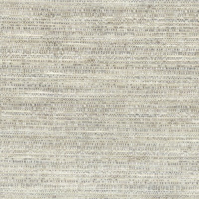 Stout Fabrics , Flaunt Flaunt, Grey color, Multipurpose Texture style type , pattern number  FLAU-1