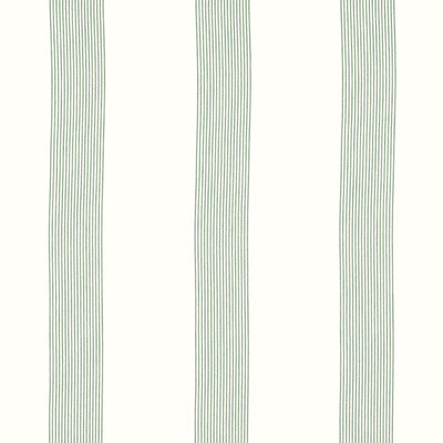 THIBAUT FABRICS-SABINE STRIPE-FWW81735