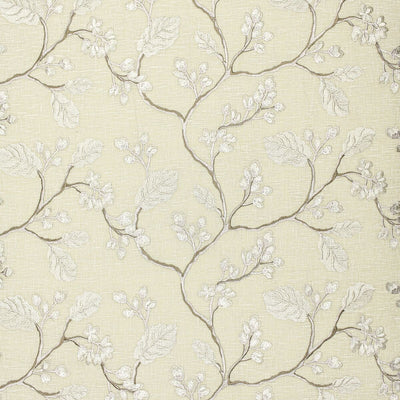 STOUT FABRICS  -GAMMON -GAMM-2