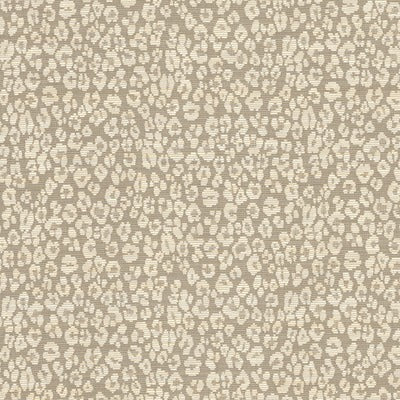 Stout Fabrics , Hapsburg Hapsburg, Beige color, Multipurpose Wovens style type , pattern number  HAPS-2
