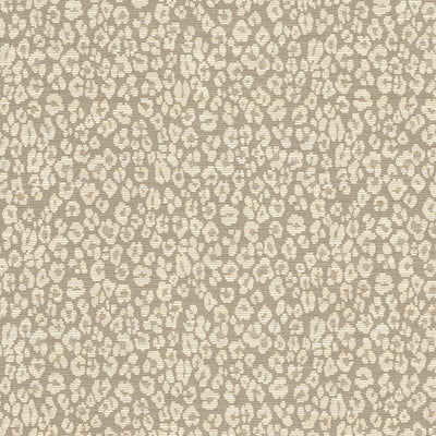 STOUT FABRICS  -HAPSBURG -HAPS-2