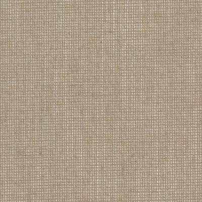 Stout Fabrics , Holyoke Holyoke, Beige color, Multipurpose Texture style type , pattern number  HOLY-11