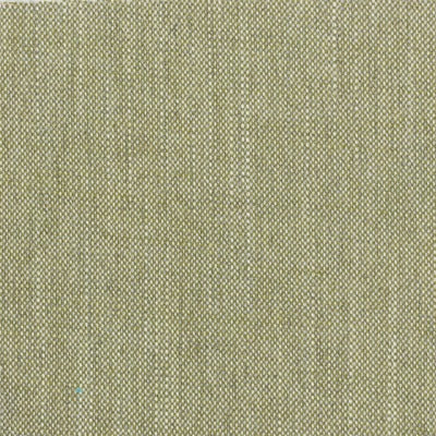 Stout Fabrics , Holyoke Holyoke, Green color, Multipurpose Texture style type , pattern number  HOLY-3