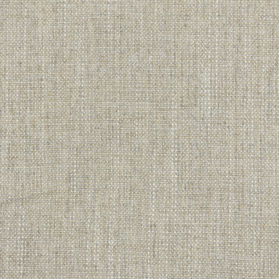 STOUT FABRICS  -HOLYOKE -HOLY-6