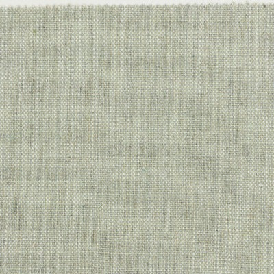 Stout Fabrics , Holyoke Holyoke, Green color, Multipurpose Texture style type , pattern number  HOLY-7