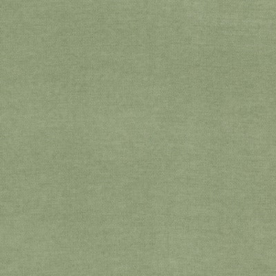 Stout Fabrics , Inevitable Inevitable, Green color, Upholstery Chenille style type , pattern number  INEV-1