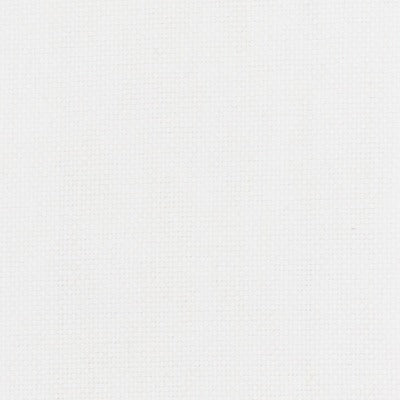 Stout Fabrics , Jones Jones, White color, Multipurpose Wovens style type , pattern number  JONE-5