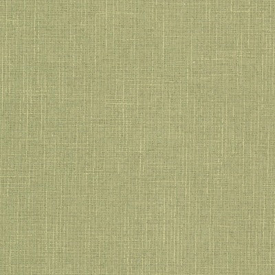 Stout Fabrics , Keegan Keegan, Pistachio color, Multipurpose Wovens style type , pattern number  KEEG-1