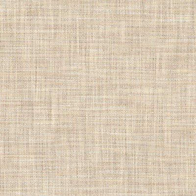 Stout Fabrics , Kimberly Kimberly, Beige color, Multipurpose Texture style type , pattern number  KIMB-2