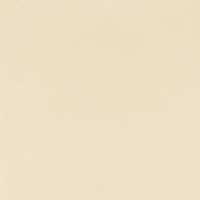 Stout Fabrics , Lanister Lanister, Beige color, Faux Leather style type , pattern number  LANI-3