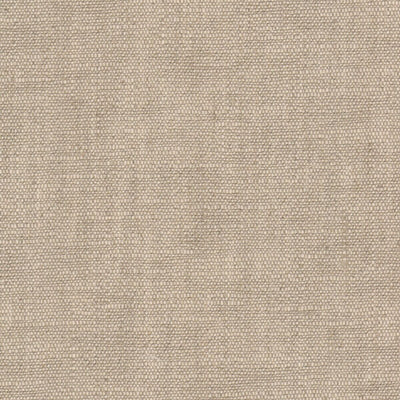STOUT FABRICS  -LILY -LILY-1