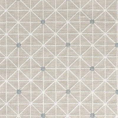 Stout Fabrics , Lucille Lucille, Beige color, Multipurpose Embroideries style type , pattern number  LUCI-1