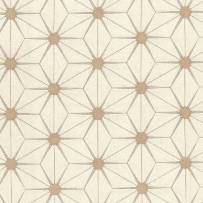 STOUT FABRICS  -MAJOR -MAJO-1