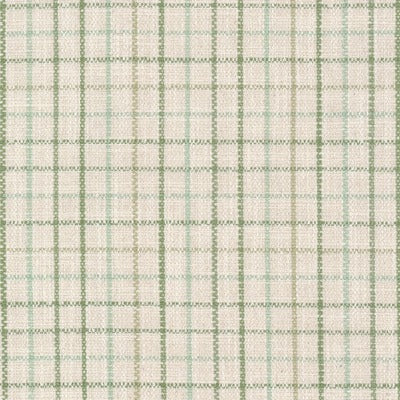 Stout Fabrics , Maximus Maximus, Green color, Multipurpose Wovens style type , pattern number  MAXI-3