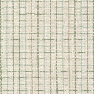STOUT FABRICS  -MAXIMUS -MAXI-3