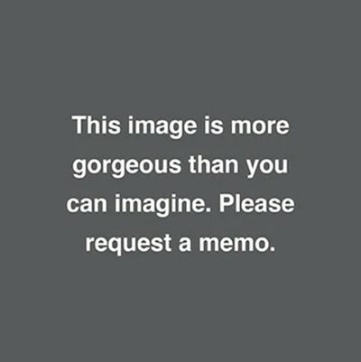 Highland Court Fabrics Fabrics -Hv16460 | 551-Saffron