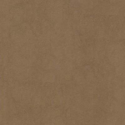 Stout Fabrics , Narcissus Narcissus, Brown color, Faux Leather style type , pattern number  NARC-2