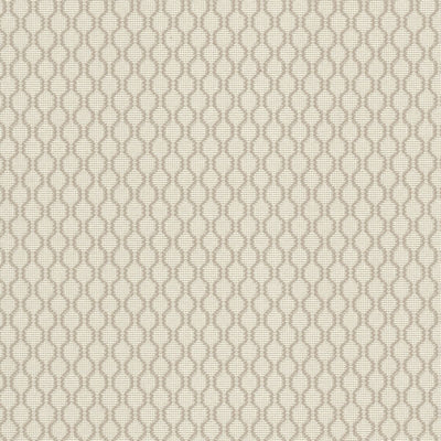 STOUT FABRICS  -NEFF -NEFF-4