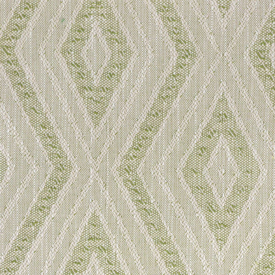 STOUT FABRICS  -NERVEL -NERV-1