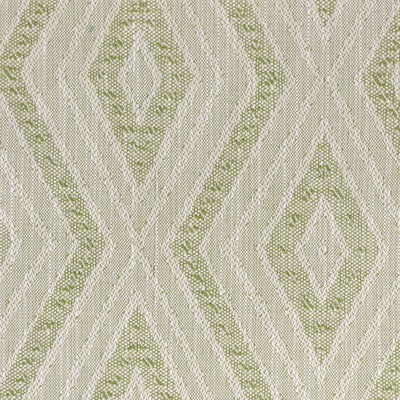 Stout Fabrics , Nervel Nervel, Green color, Multipurpose Wovens style type , pattern number  NERV-1
