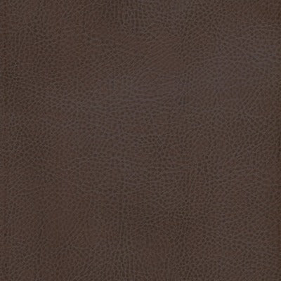 Stout Fabrics , Odean Odean, Brown color, Faux Leather style type , pattern number  ODEA-1