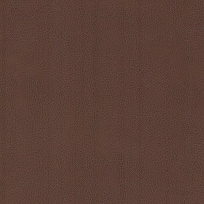 Stout Fabrics , Odean Odean, Brown color, Faux Leather style type , pattern number  ODEA-3