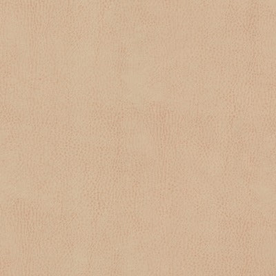 Stout Fabrics , Odean Odean, Brown color, Faux Leather style type , pattern number  ODEA-4