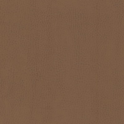 Stout Fabrics , Odean Odean, Brown color, Faux Leather style type , pattern number  ODEA-5