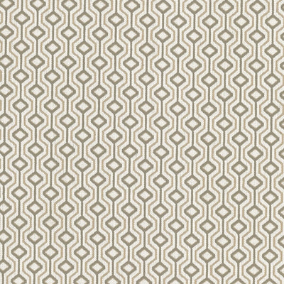STOUT FABRICS  -ORGANIZE -ORGA-2