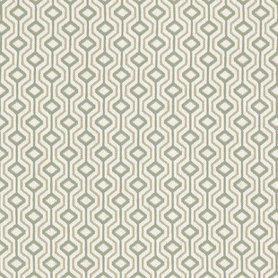 STOUT FABRICS  -ORGANIZE -ORGA-3