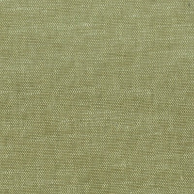 Stout Fabrics , Orwin Orwin, Green color, Multipurpose Texture style type , pattern number  ORWI-12