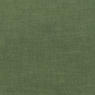 Stout Fabrics , Orwin Orwin, Green color, Multipurpose Texture style type , pattern number  ORWI-29