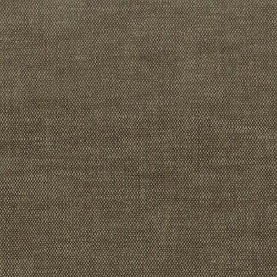 Stout Fabrics , Orwin Orwin, Brown color, Multipurpose Texture style type , pattern number  ORWI-30