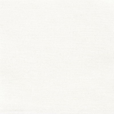 Stout Fabrics , Orwin Orwin, Snow color, Multipurpose Texture style type , pattern number  ORWI-31